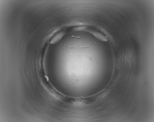 X0000082930358200702011246