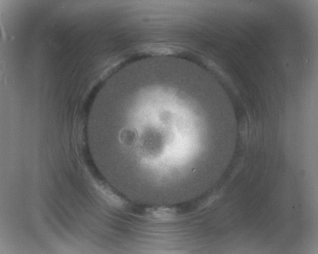 X0000082930359200702011246