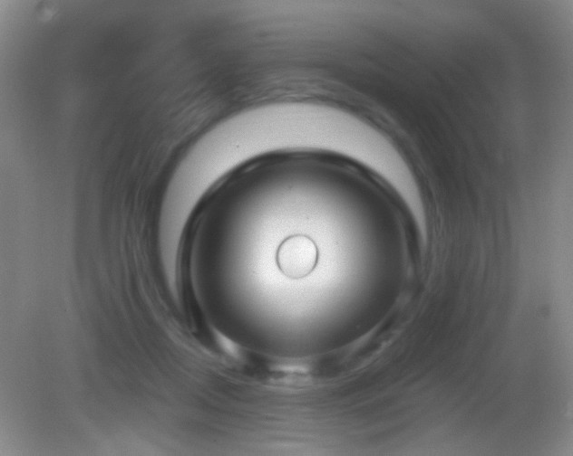 X0000082930362200702011246