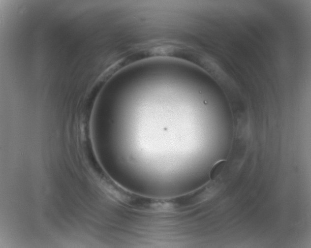 X0000082930363200702011246