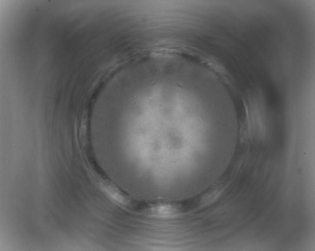 X0000082930365200702011246