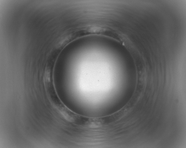 X0000082930368200702011246