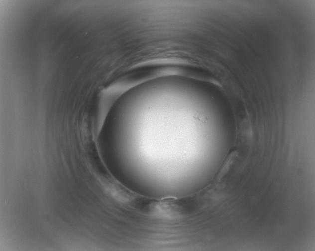 X0000082930372200702011246