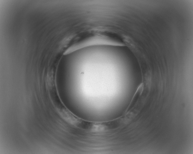 X0000082930376200702011246