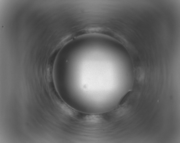 X0000082930378200702011246