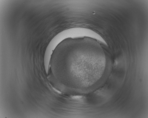 X0000082930380200702011246