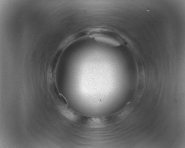 X0000082930381200702011246