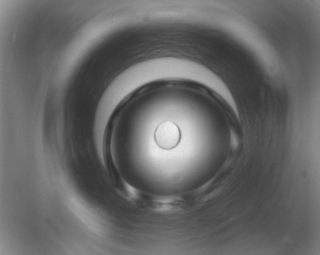 X0000082930382200702011246