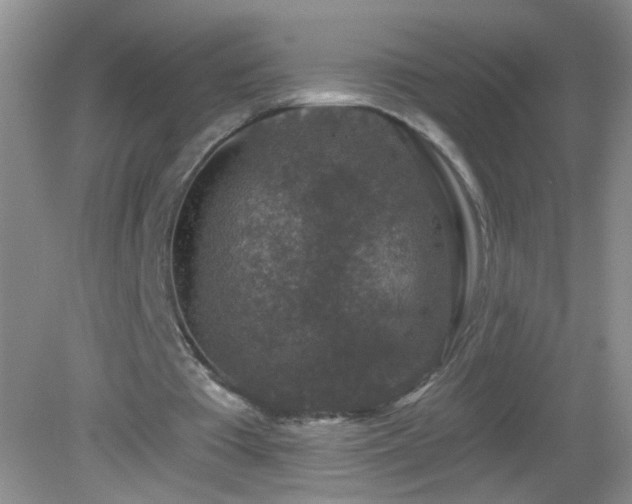 X0000082930385200702011245