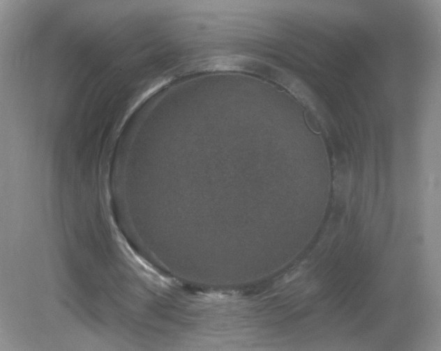 X0000082930386200702011245