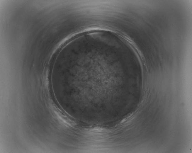 X0000082930387200702011245