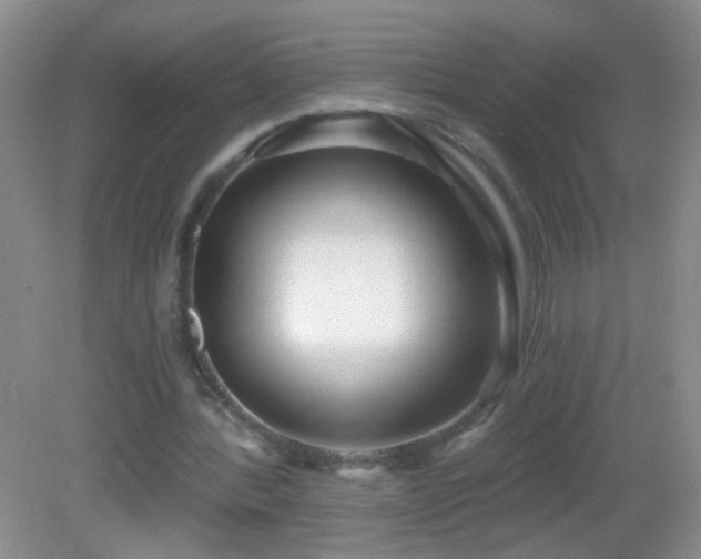 X0000082930388200702011245