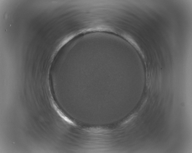 X0000082930389200702011245