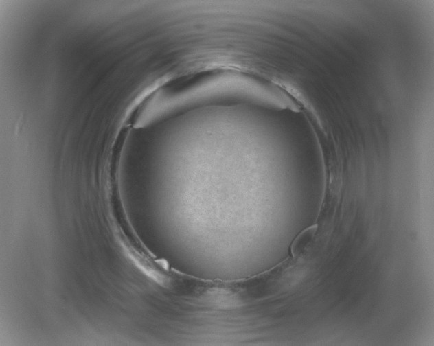 X0000082930390200702011245