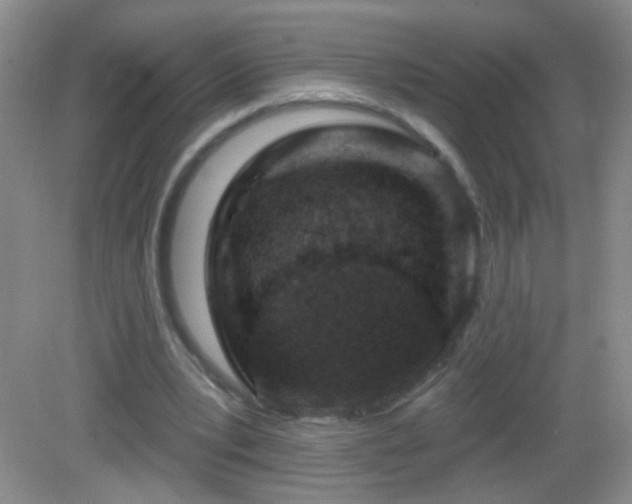 X0000082930391200702011245