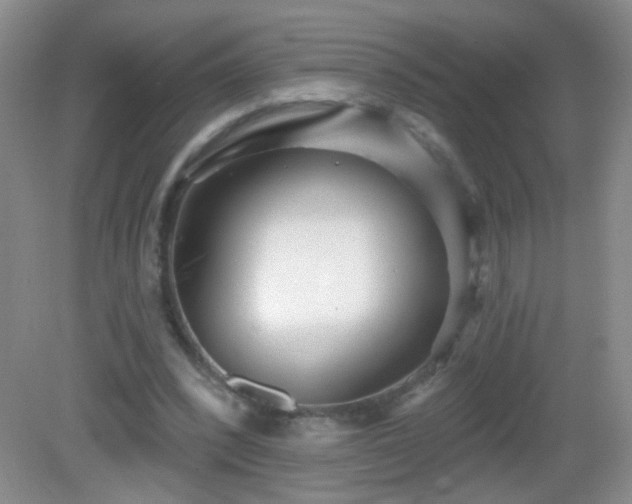 X0000082930392200702011245