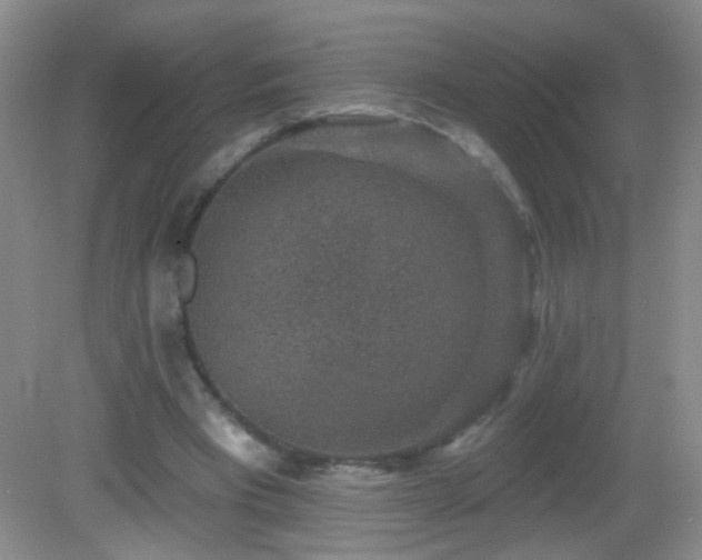 X0000082930393200702011245