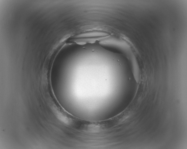 X0000082930394200702011245