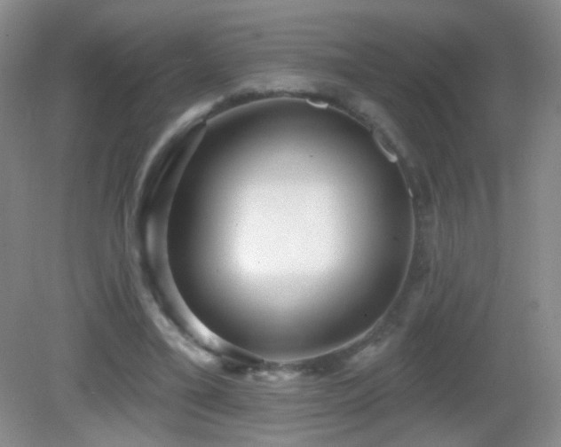 X0000082930395200702011245