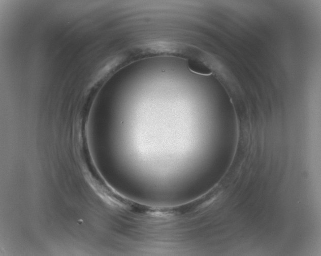 X0000082930398200702011245