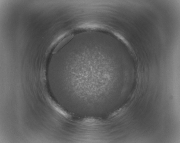 X0000082930399200702011245