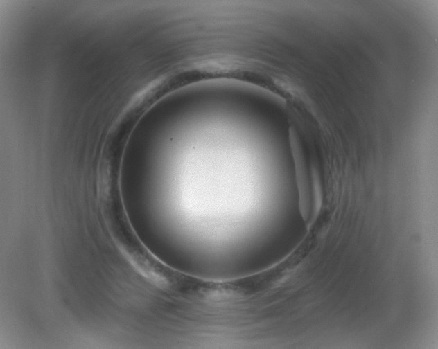 X0000082930400200702011245