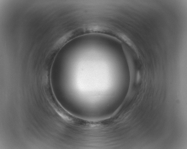 X0000082930401200702011245