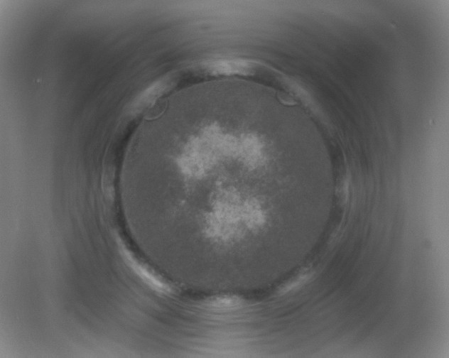 X0000082930402200702011245