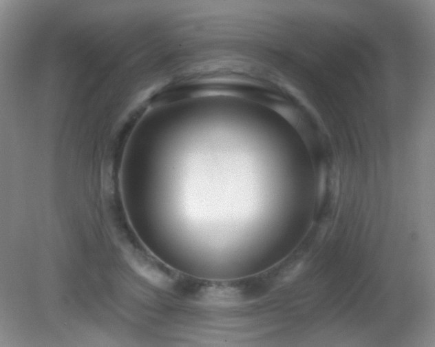 X0000082930403200702011245