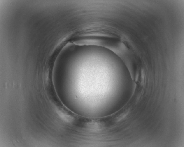 X0000082930404200702011245