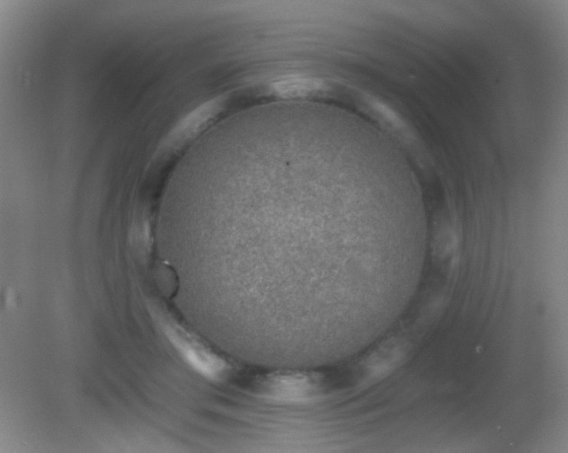 X0000082930405200702011245