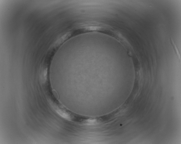 X0000082930406200702011245