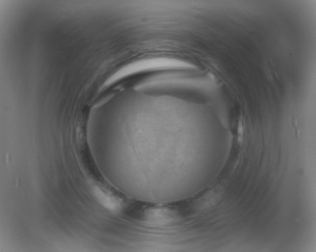 X0000082930408200702011245