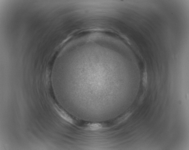 X0000082930409200702011245