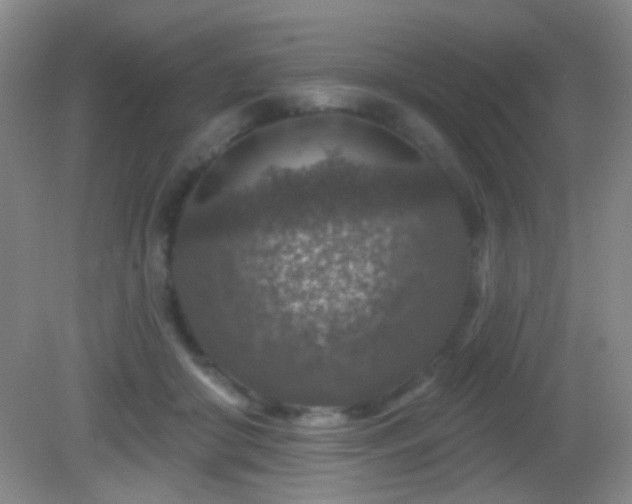 X0000082930410200702011245