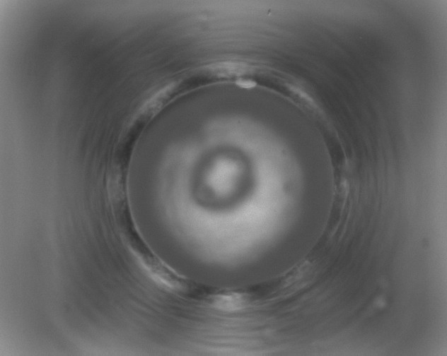 X0000082930411200702011245