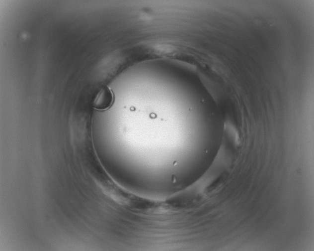 X0000082930412200702011245