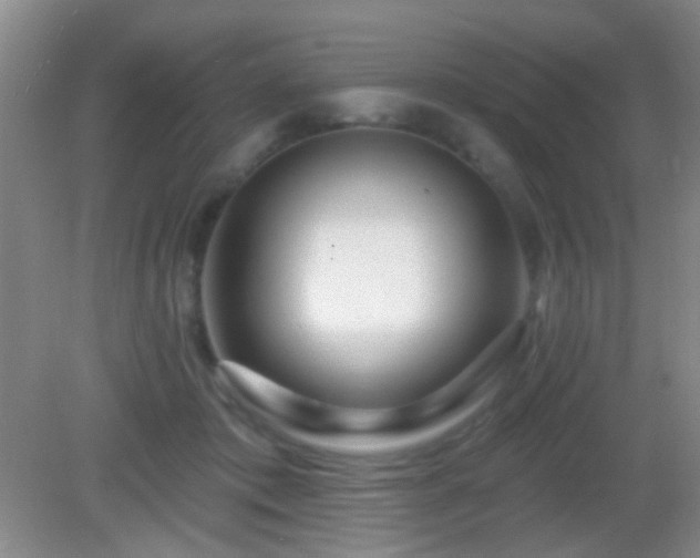 X0000082930413200702011245