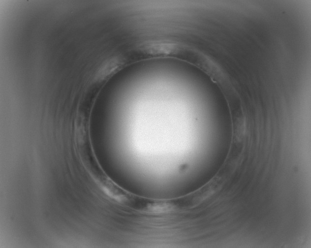 X0000082930414200702011245