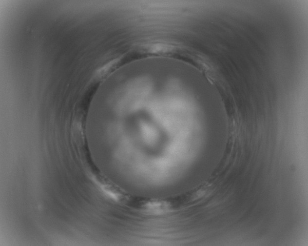 X0000082930415200702011245