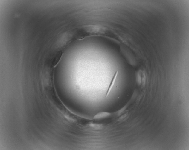 X0000082930416200702011245