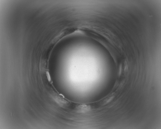 X0000082930421200702011245