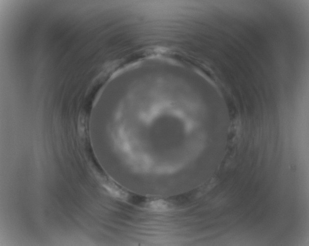 X0000082930423200702011245