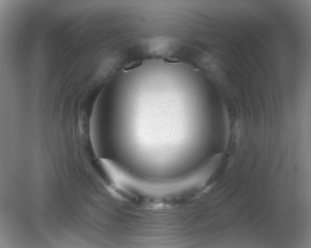 X0000082930424200702011245