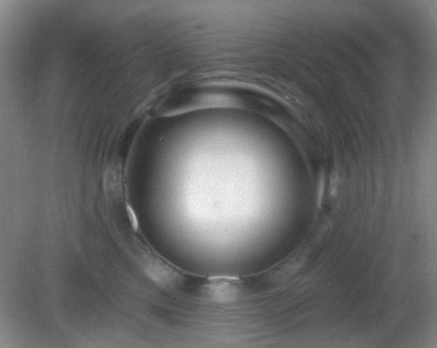 X0000082930425200702011245