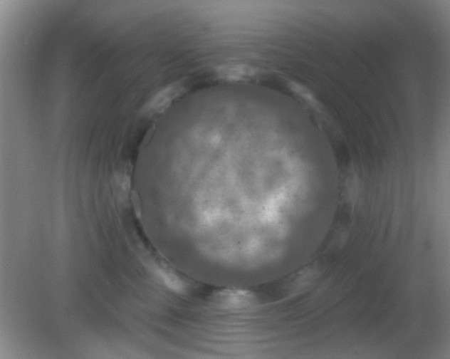 X0000082930427200702011245