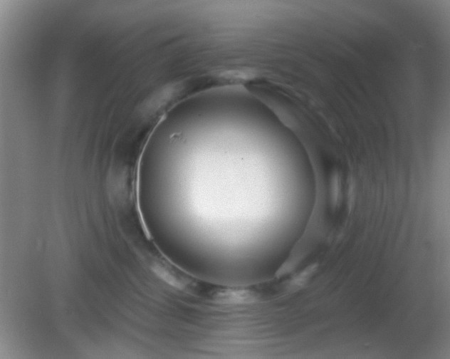 X0000082930428200702011245