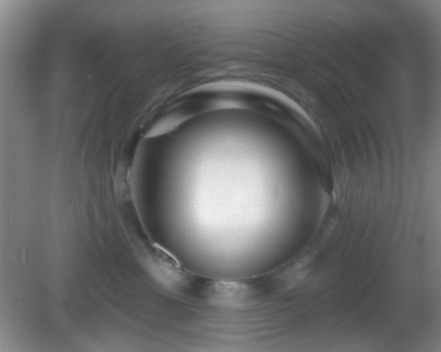 X0000082930429200702011245