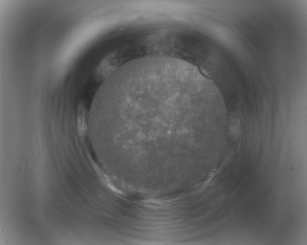 X0000082930431200702011244