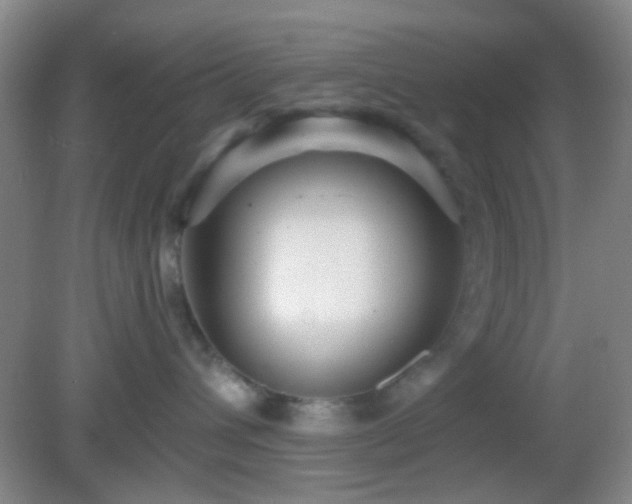 X0000082930432200702011244